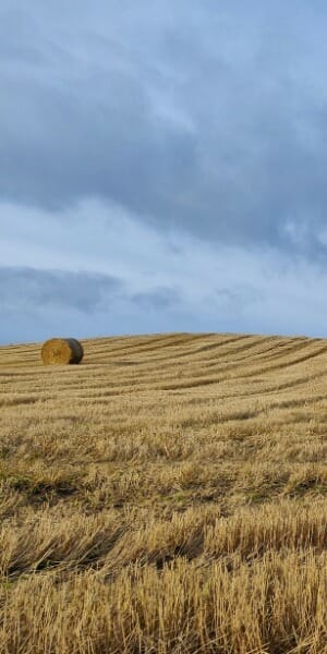 John Hoarth Harvest