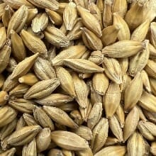 Feed-grain-traded (1)