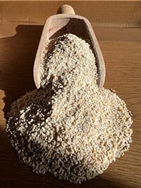 Conventional Oatmeal